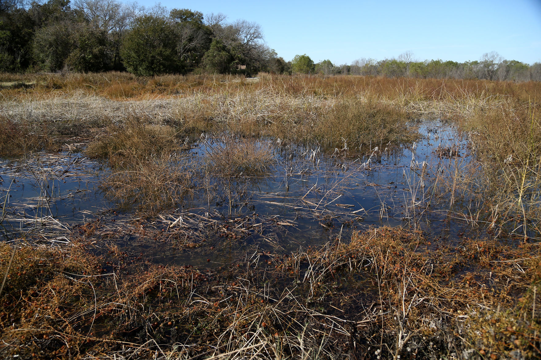 Waco Wetlands